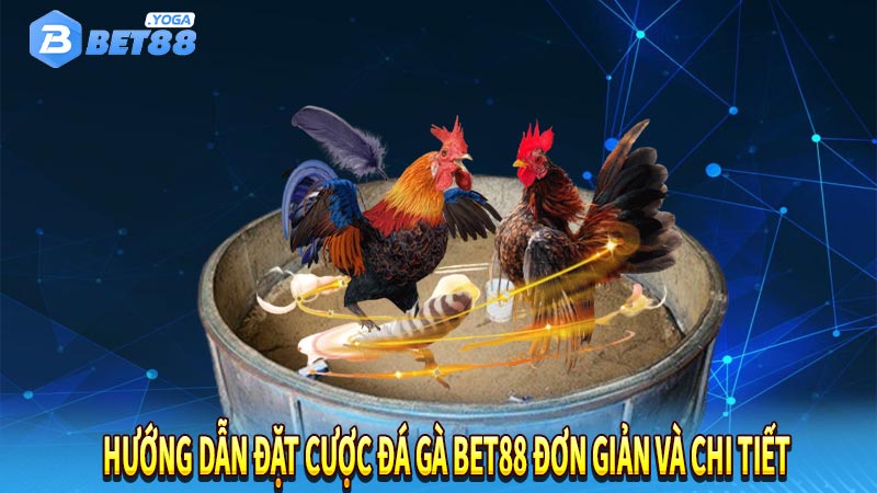 Hướng dẫn đặt cược đá gà Bet88 đơn giản và chi tiết