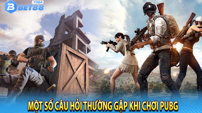 Một số câu hỏi thường gặp khi chơi Pubg