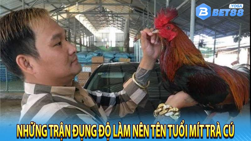 Những trận đụng độ với các chiến kê làm nên tên tuổi Mít Trà Cú